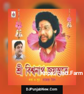 Shree Vishwanath Jayostute