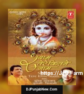 Shyam Tere Kitne Naam
