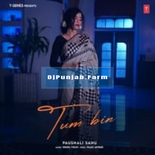 Tum Bin Tum Bin mp3 download