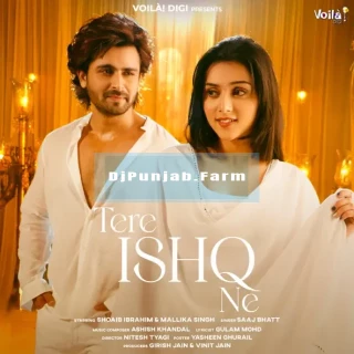 Tere Ishq Ne Tere Ishq Ne mp3 download