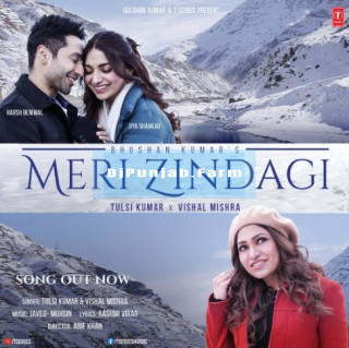 Meri Zindagi Meri Zindagi mp3 download