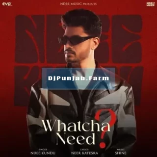 Whatcha Need mp3 download